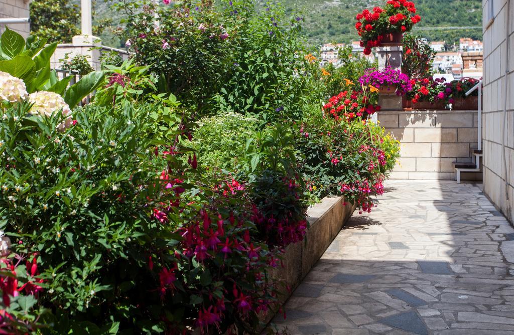 Apartman Raguz